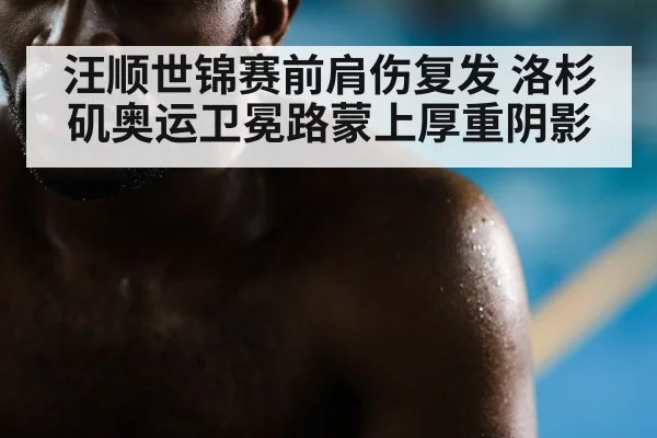 汪顺世锦赛前肩伤复发 洛杉矶奥运卫冕路蒙上厚重阴影