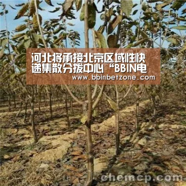 河北将承接北京区域性快递集散分拨中心“BBIN电子，BBIN登录，BBIN娱乐城，BBIN赛事”